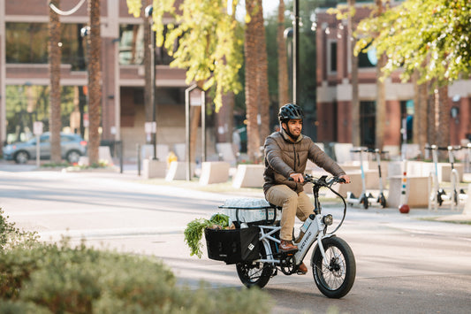 The Rise of eBikes in Food Delivery: Efficiency, Economy, and Ecology