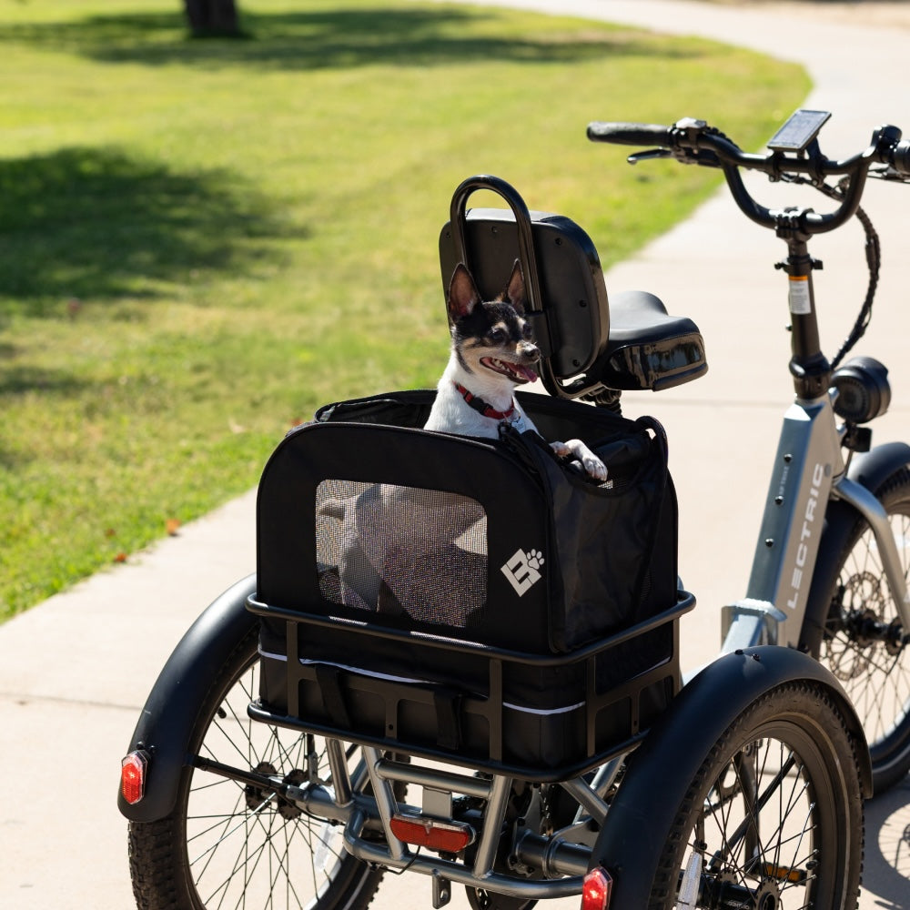 Small Pet Carrier