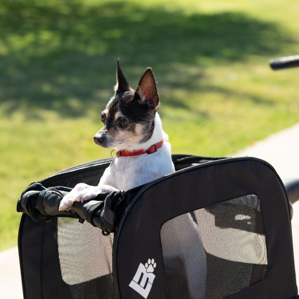 Small Pet Carrier