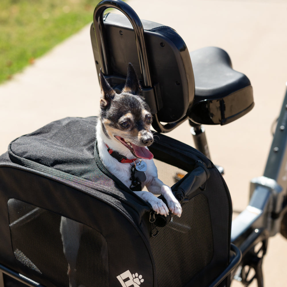 Small Pet Carrier