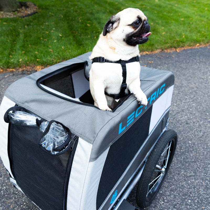 Small dog sticking head out of Lectric Pet Trailer