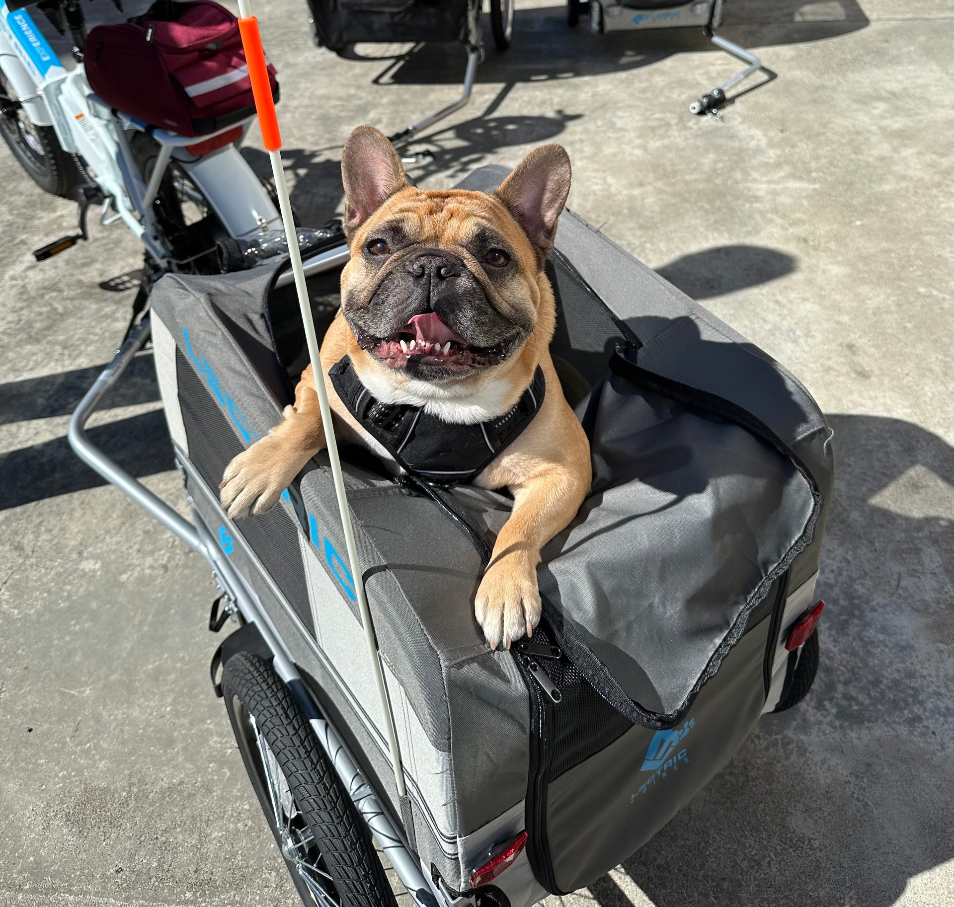 electric bicycle with dog carrier The K9 4+ Upgraded Cargo Bike For Dogs Includes trailer frame Trailer Bundle