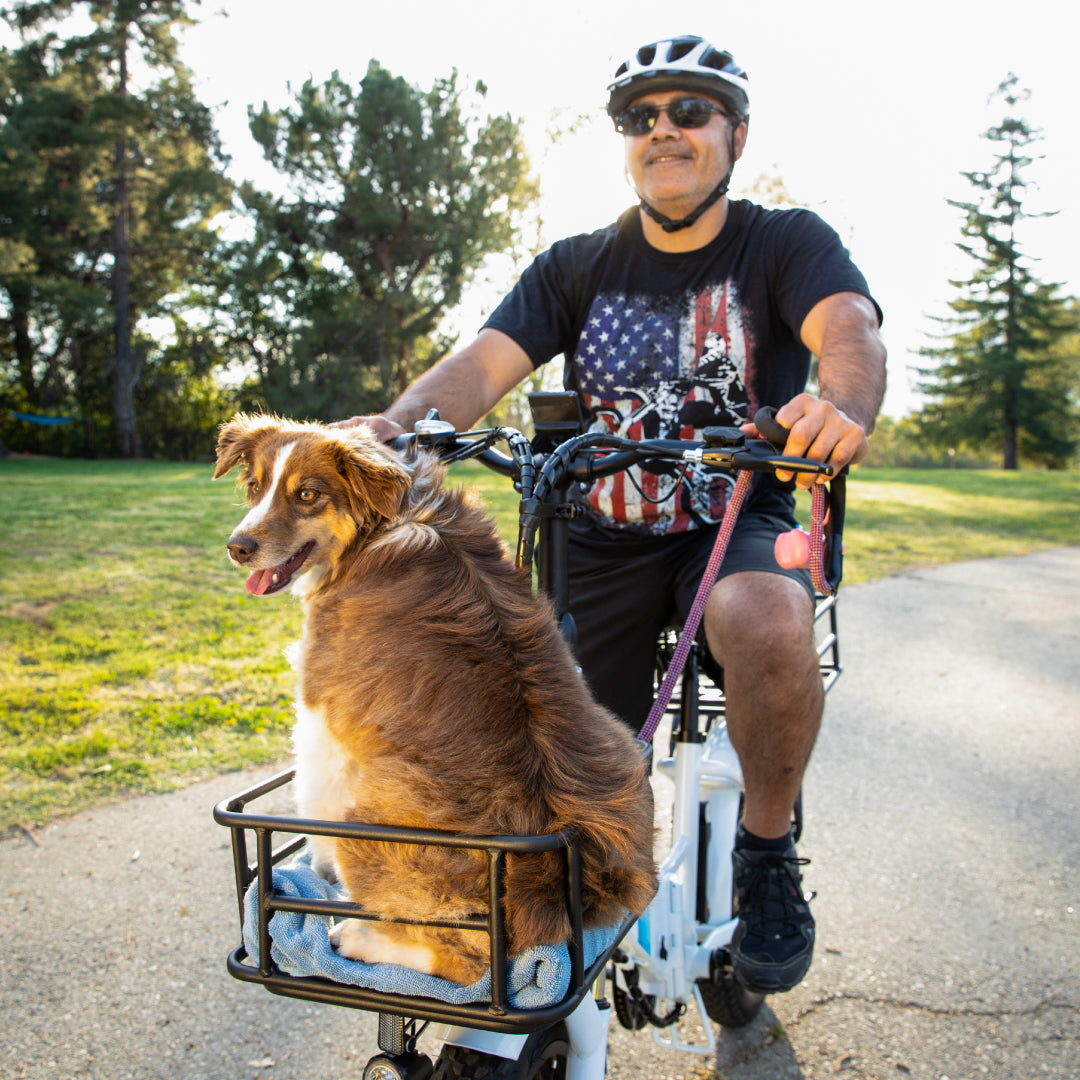 Can Dogs Ride eBikes?