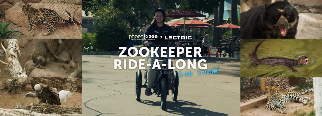 Lectric x Phoenix Zoo Team-up for Daily Animal Care