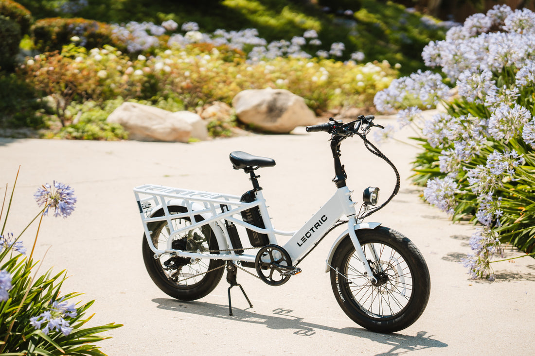 Lectric eBikes vs. Heybike