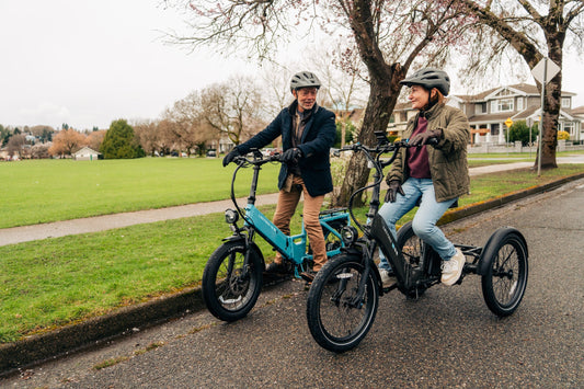 Why a Lectric eBike Is Worth Every Cent (And Then Some)