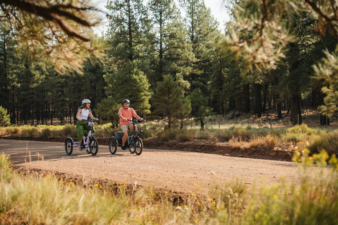 Pourquoi un vélo électrique Lectric vaut chaque sou (et même plus)