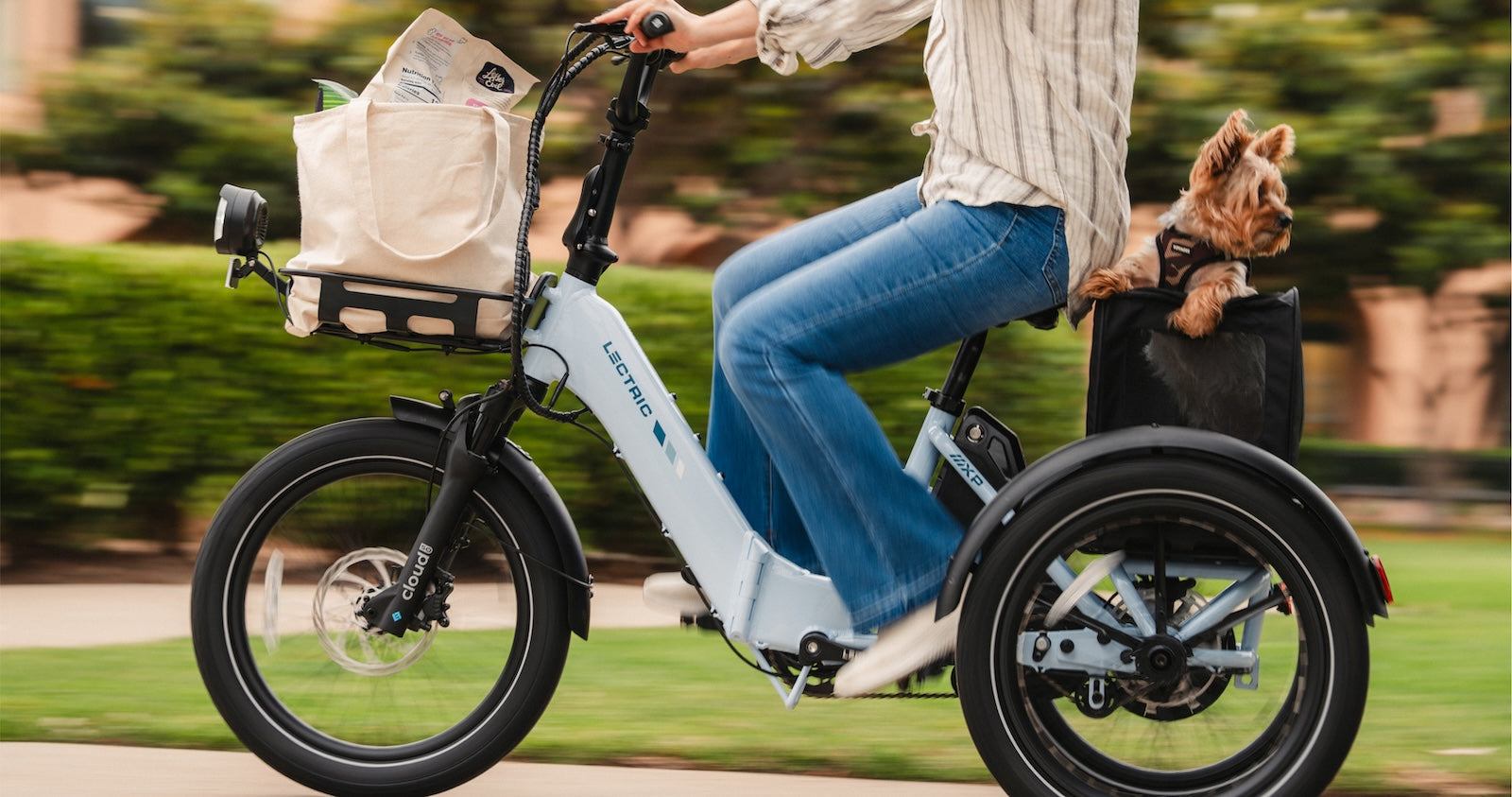 A Side-by-Side Look at XP Trike1 & XP Trike2 – Lectric eBikes®