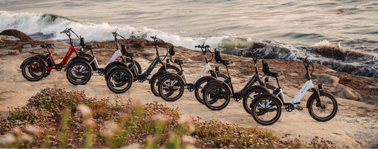 Lectric eBikes vs. Mooncool