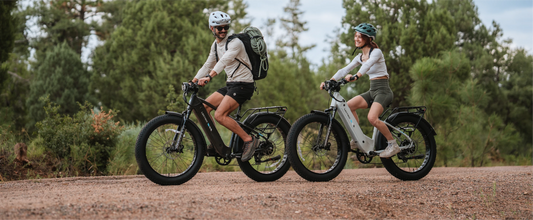 The All-New XPeak 2.0 eBike