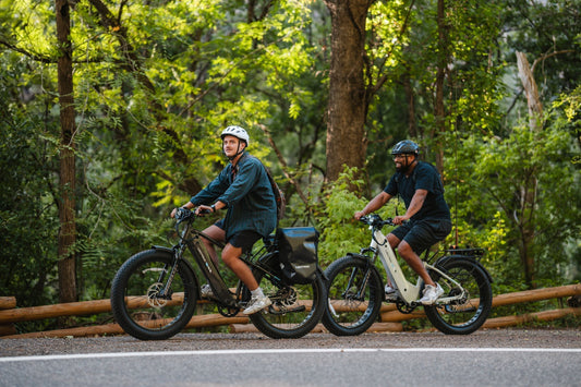 How Much Can an eBike Replace Your Car?