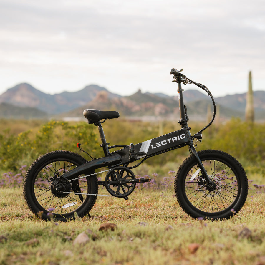 Black Lectric XP Lite eBike profile view in the desert with cactus