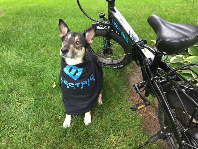 Soldier family dog next to a Lectric ebike. 
