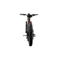 XPeak High-Step eBike