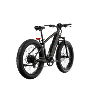 XPeak High-Step eBike