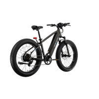 XPeak High-Step eBike