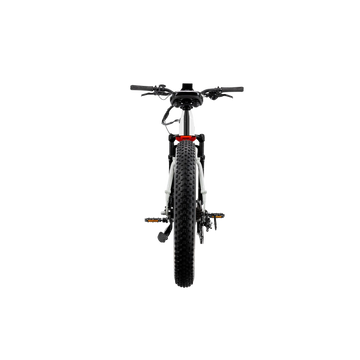 XPeak Step-Thru 2.0 Long-Range eBike