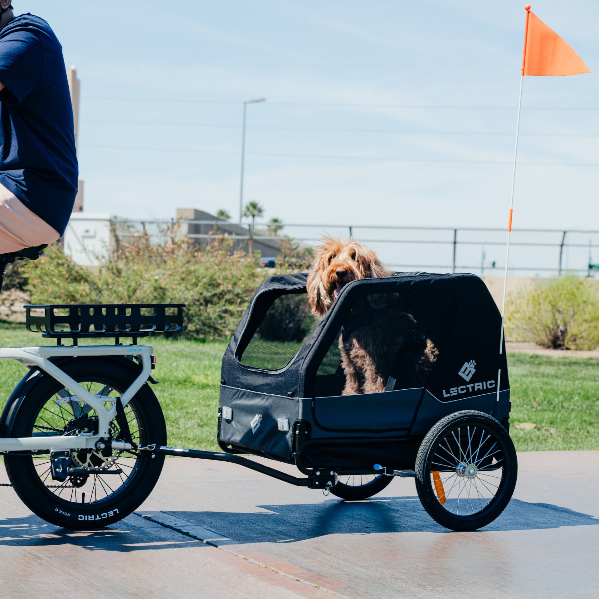 Large-Sized Pet Trailer for Electric Bikes Large-Sized Pet Trailer for Electric Bikes