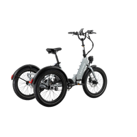 Electric XP Trike