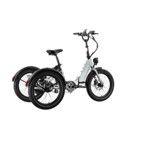 Electric XP Trike