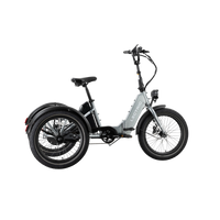 Electric XP Trike