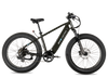 XPeak2 High-Step Long-Range eBike