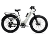 XPeak2 Step-Thru eBike