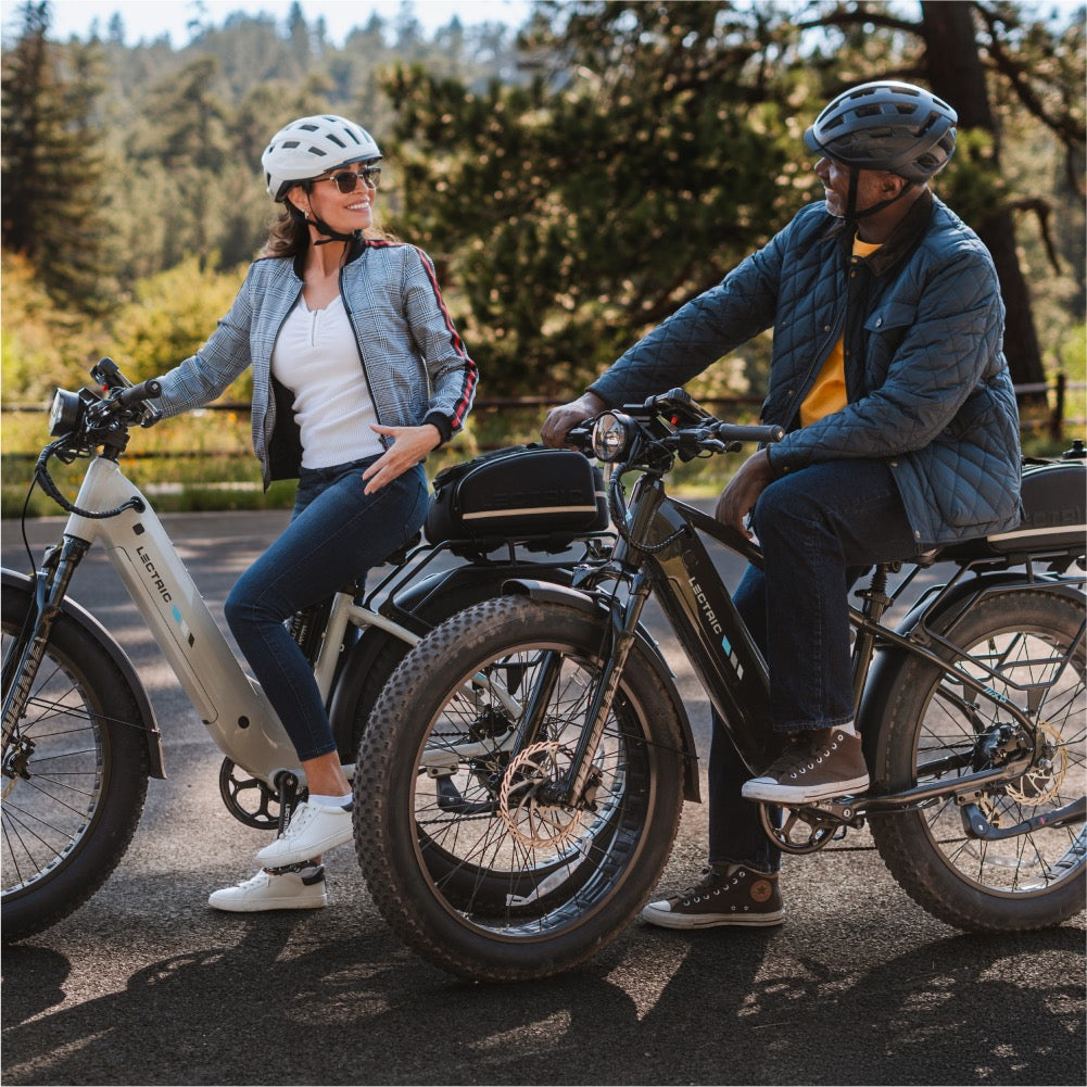 Lectric electric bike