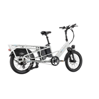 XPedition Dual-Battery Cargo eBike