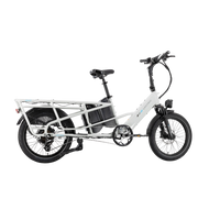 XPedition Dual-Battery Cargo eBike