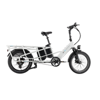 XPedition Dual-Battery Cargo eBike