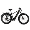 XPeak 2.0 Long-Range Off-Road eBike | High-Step eMTB | Lectric eBikes®