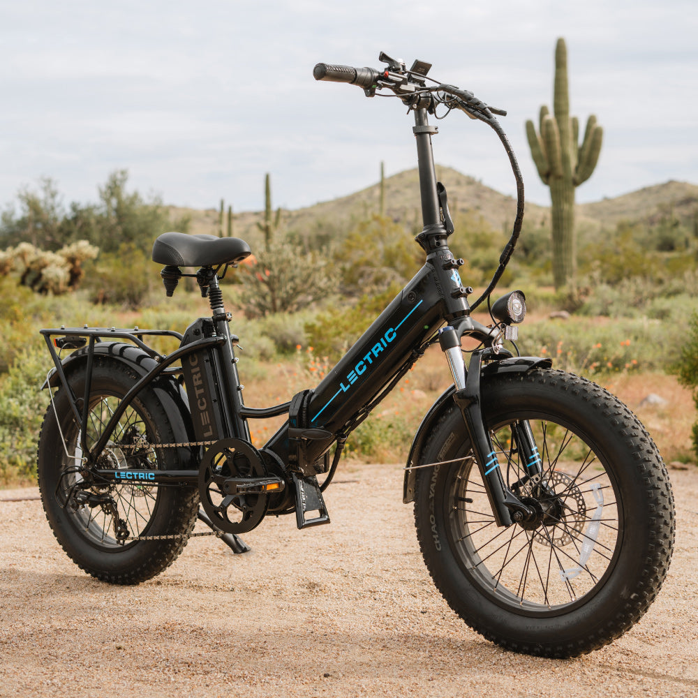 Single Battery Black XPremium in dessert terrain with nice cactus on the back and hills with branches
