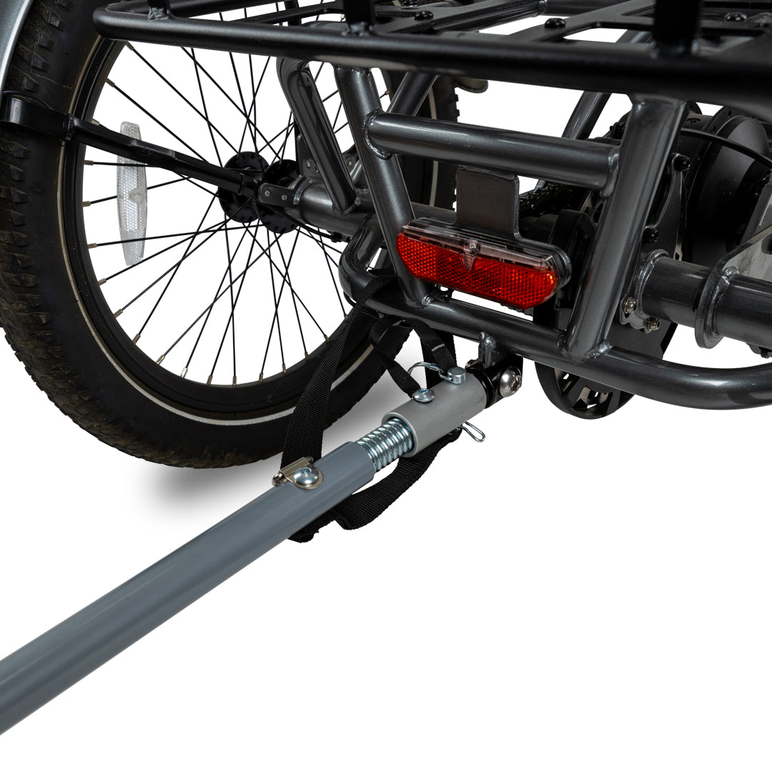 Lectric Wag-Along hitch and tow bar attached to the Trike
