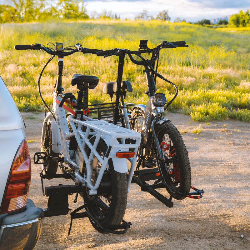 Lectric xp cheap bike rack