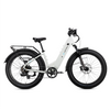 XPeak Step-Thru 2.0 eBike
