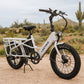 Lectric XPedition Cargo eBike with dual battery in the desert