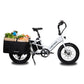 Lectric XPedition ebike with XL cargo pannier mounted with groceries